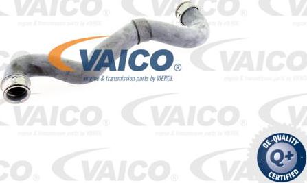 VAICO V30-1657 - Шланг радіатора autozip.com.ua