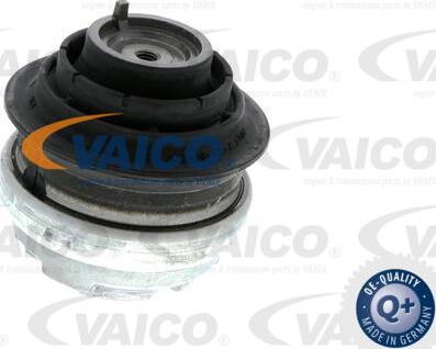 VAICO V30-1113-1 - Подушка, підвіска двигуна autozip.com.ua