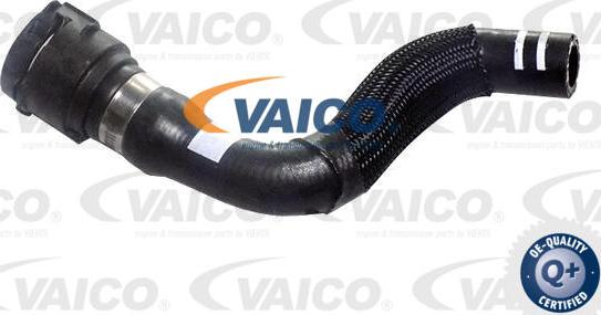VAICO V24-1295 - Шланг, теплообмінник - опалення autozip.com.ua