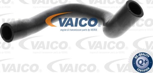 VAICO V24-1291 - Шланг, вентиляція картера autozip.com.ua