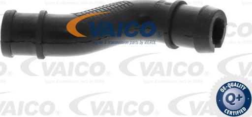 VAICO V24-1293 - Шланг, вентиляція картера autozip.com.ua