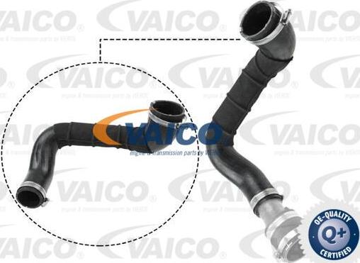 VAICO V25-1049 - Трубка нагнітається повітря autozip.com.ua