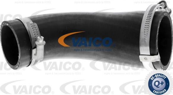 VAICO V25-1046 - Трубка нагнітається повітря autozip.com.ua
