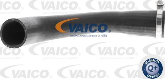 VAICO V25-1041 - Трубка нагнітається повітря autozip.com.ua