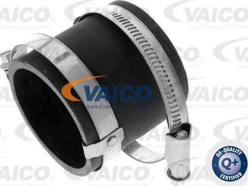 VAICO V25-1048 - Трубка нагнітається повітря autozip.com.ua