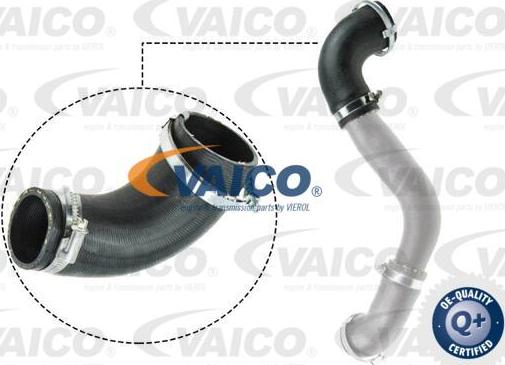 VAICO V25-1050 - Трубка нагнітається повітря autozip.com.ua