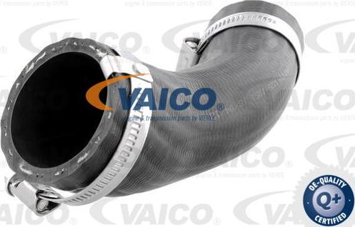 VAICO V25-1051 - Трубка нагнітається повітря autozip.com.ua