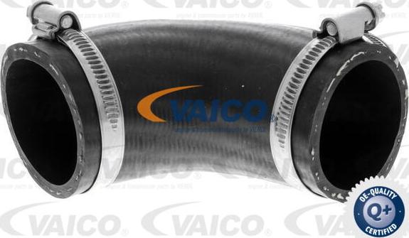 VAICO V25-1016 - Трубка нагнітається повітря autozip.com.ua
