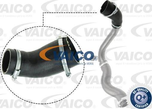 VAICO V25-1029 - Трубка нагнітається повітря autozip.com.ua
