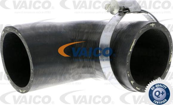 VAICO V25-1020 - Трубка нагнітається повітря autozip.com.ua