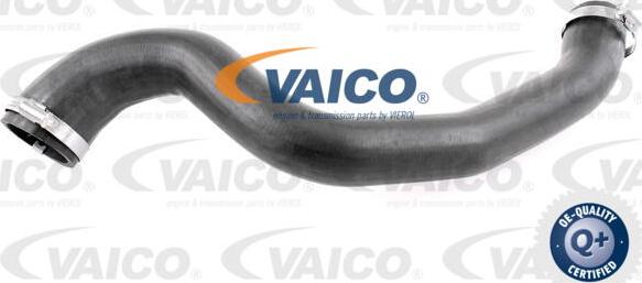 VAICO V25-1028 - Трубка нагнітається повітря autozip.com.ua