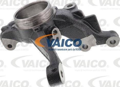 VAICO V25-1199 - Поворотний кулак, підвіска колеса autozip.com.ua