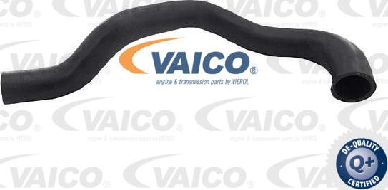 VAICO V25-2577 - Шланг радіатора autozip.com.ua