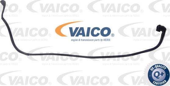 VAICO V20-4352 - Шланг радіатора autozip.com.ua