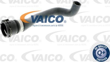 VAICO V20-0900 - Шланг радіатора autozip.com.ua