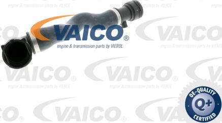 VAICO V20-0863 - Шланг радіатора autozip.com.ua