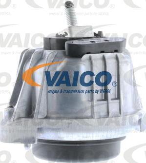 VAICO V20-0795 - Подушка, підвіска двигуна autozip.com.ua