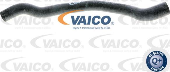 VAICO V20-1648 - Шланг радіатора autozip.com.ua