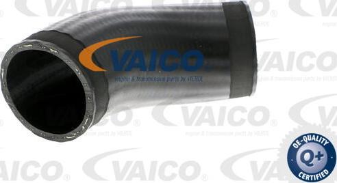 VAICO V20-1614 - Трубка нагнітається повітря autozip.com.ua