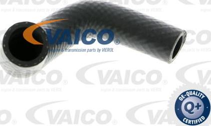 VAICO V20-1348 - Шланг радіатора autozip.com.ua