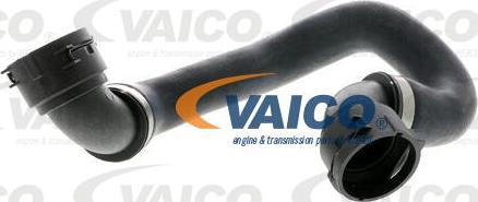 VAICO V20-1310 - Шланг радіатора autozip.com.ua
