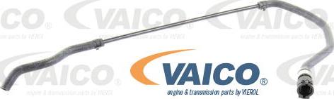 VAICO V20-1312 - Шланг радіатора autozip.com.ua
