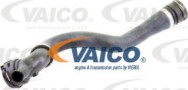 VAICO V20-1296 - Шланг радіатора autozip.com.ua