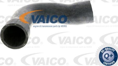 VAICO V20-1250 - Шланг радіатора autozip.com.ua