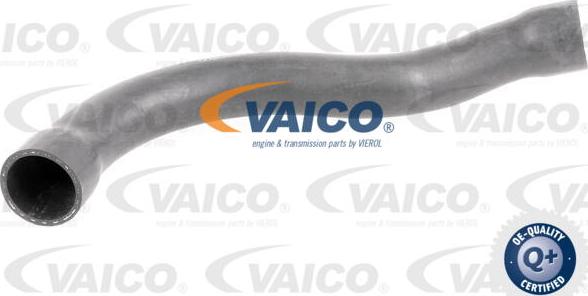 VAICO V20-1750 - Шланг радіатора autozip.com.ua