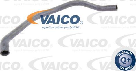 VAICO V20-1782 - Шланг радіатора autozip.com.ua