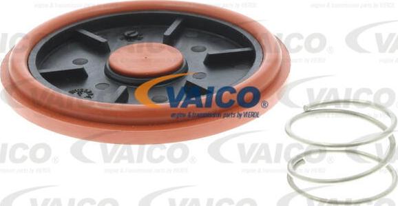 VAICO V20-3344 - Клапан, відведення повітря з картера autozip.com.ua