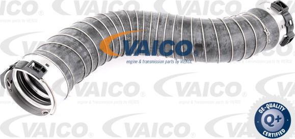 VAICO V20-2966 - Трубка нагнітається повітря autozip.com.ua