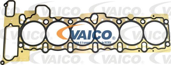 VAICO V20-2551 - Прокладка, головка циліндра autozip.com.ua