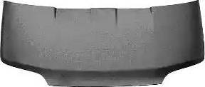 Van Wezel 1897660 - Капот двигуна autozip.com.ua