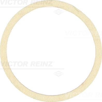 Victor Reinz 407519700 - Ущільнене кільце, колінчастий вал autozip.com.ua