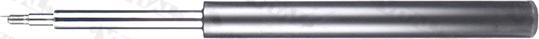 VITAL SUSPENSIONS 210041 - Амортизатор autozip.com.ua