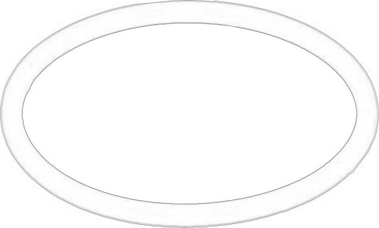 VAG N90978801 - Кільце ущільнювача, компресор autozip.com.ua