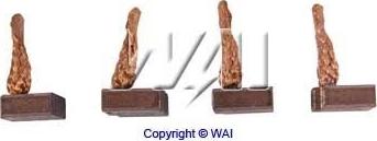 WAI BSX192-193 - Вугільна щітка, стартер autozip.com.ua
