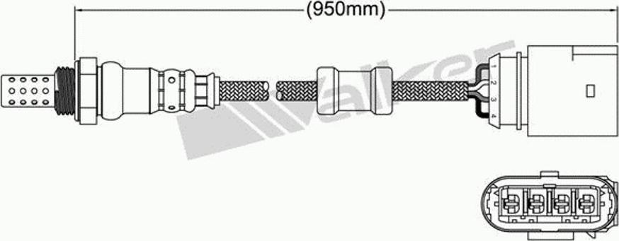 Walker 250-24494 - Клиновий ремінь autozip.com.ua