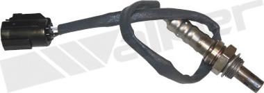 Walker Products 350-34465 - Лямбда-зонд, датчик кисню autozip.com.ua