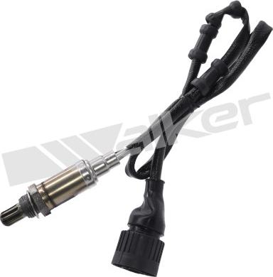 Walker Products 350-34038 - Лямбда-зонд, датчик кисню autozip.com.ua