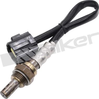 Walker Products 350-34891 - Лямбда-зонд, датчик кисню autozip.com.ua