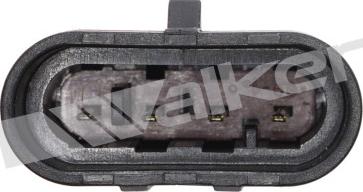 Walker Products 350-34821 - Лямбда-зонд, датчик кисню autozip.com.ua