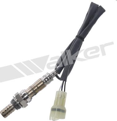 Walker Products 350-34243 - Лямбда-зонд, датчик кисню autozip.com.ua