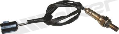 Walker Products 350-34286 - Лямбда-зонд, датчик кисню autozip.com.ua