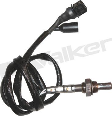 Walker Products 350-33041 - Лямбда-зонд, датчик кисню autozip.com.ua