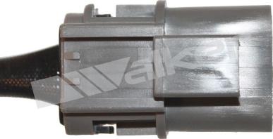 Walker Products 350-33066 - Лямбда-зонд, датчик кисню autozip.com.ua