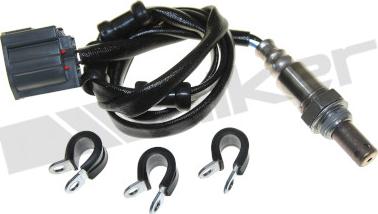 Walker Products 250-54093 - Лямбда-зонд, датчик кисню autozip.com.ua