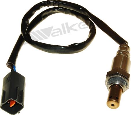 Walker Products 250-54031 - Лямбда-зонд, датчик кисню autozip.com.ua