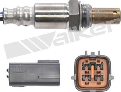 Walker Products 250-54031 - Лямбда-зонд, датчик кисню autozip.com.ua